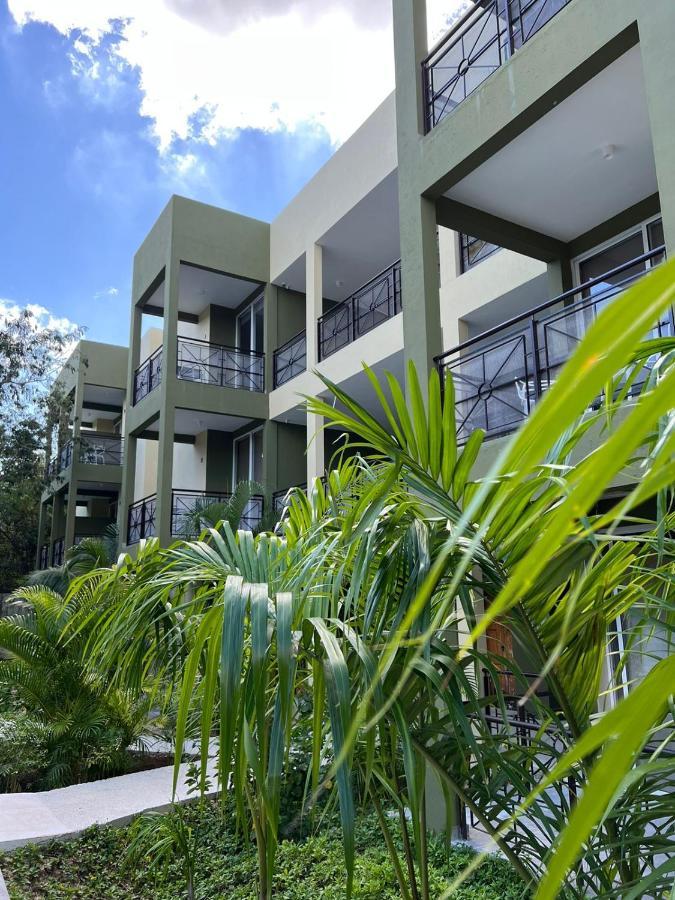 Lol-Ha Hotel Boutique Cancun Luaran gambar